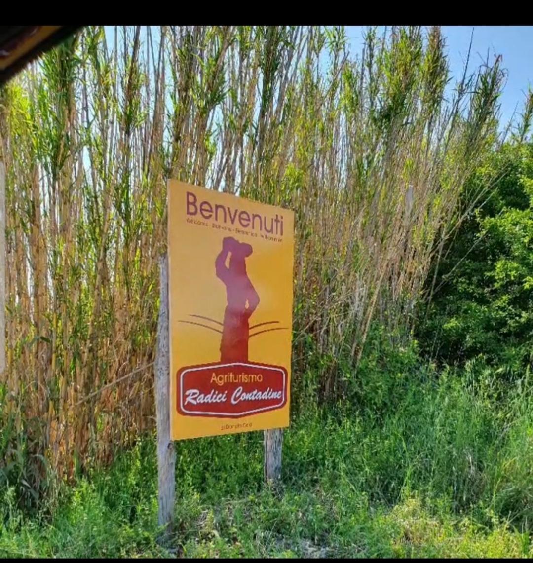 Agriturismo Radici Contadine Bisaccia Exterior foto